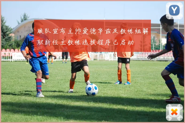 狼队宣布主帅爱德华兹及教练组解职新任主教练选拔程序已启动